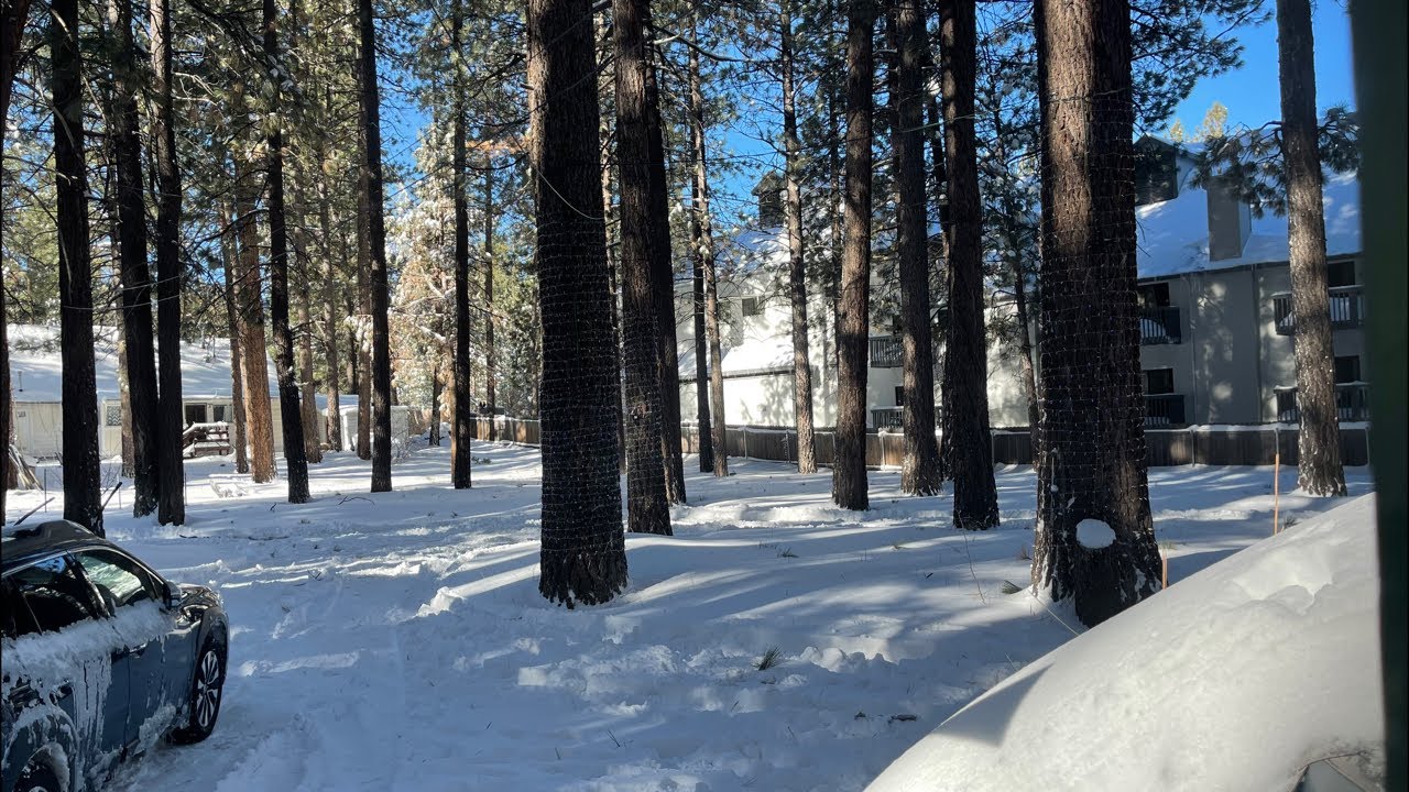 🔴LIVE ⛄️Big Bear, CA Winter Storm Still Packs A Punch! Another Foot of Snow Possible Today 2/19/26