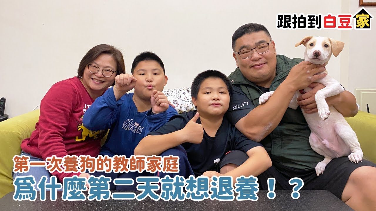 第一次養狗的教師家庭為什麼第二天就想退養！？