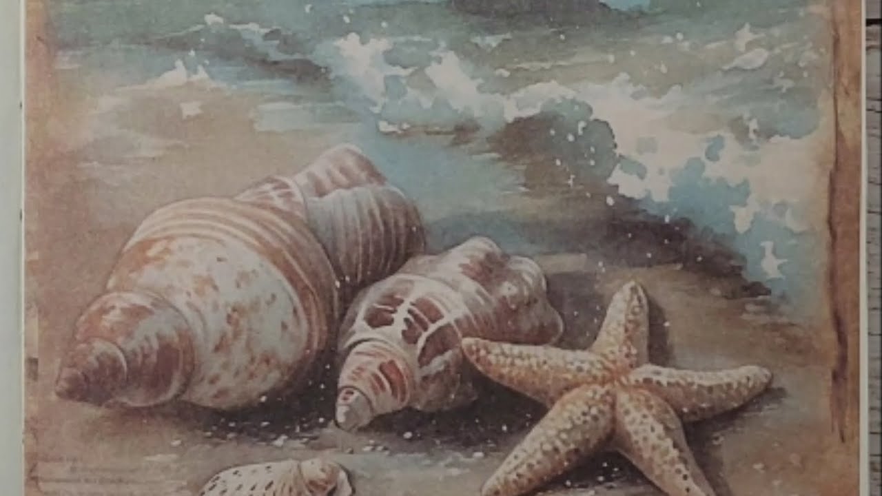 Sea Shore