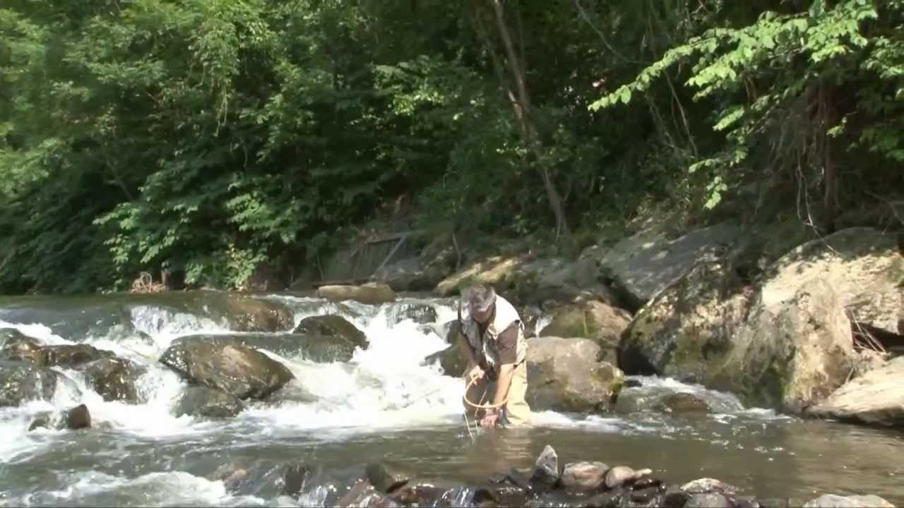 Die Sulm   Natur erleben