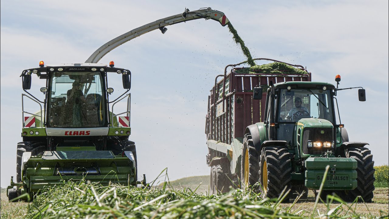 Zbiór Traw 2024 w GR Bujalscy! Claas Jaguar 850 Deutz Fahr John Deere Massey Ferguson 3x Strautmann