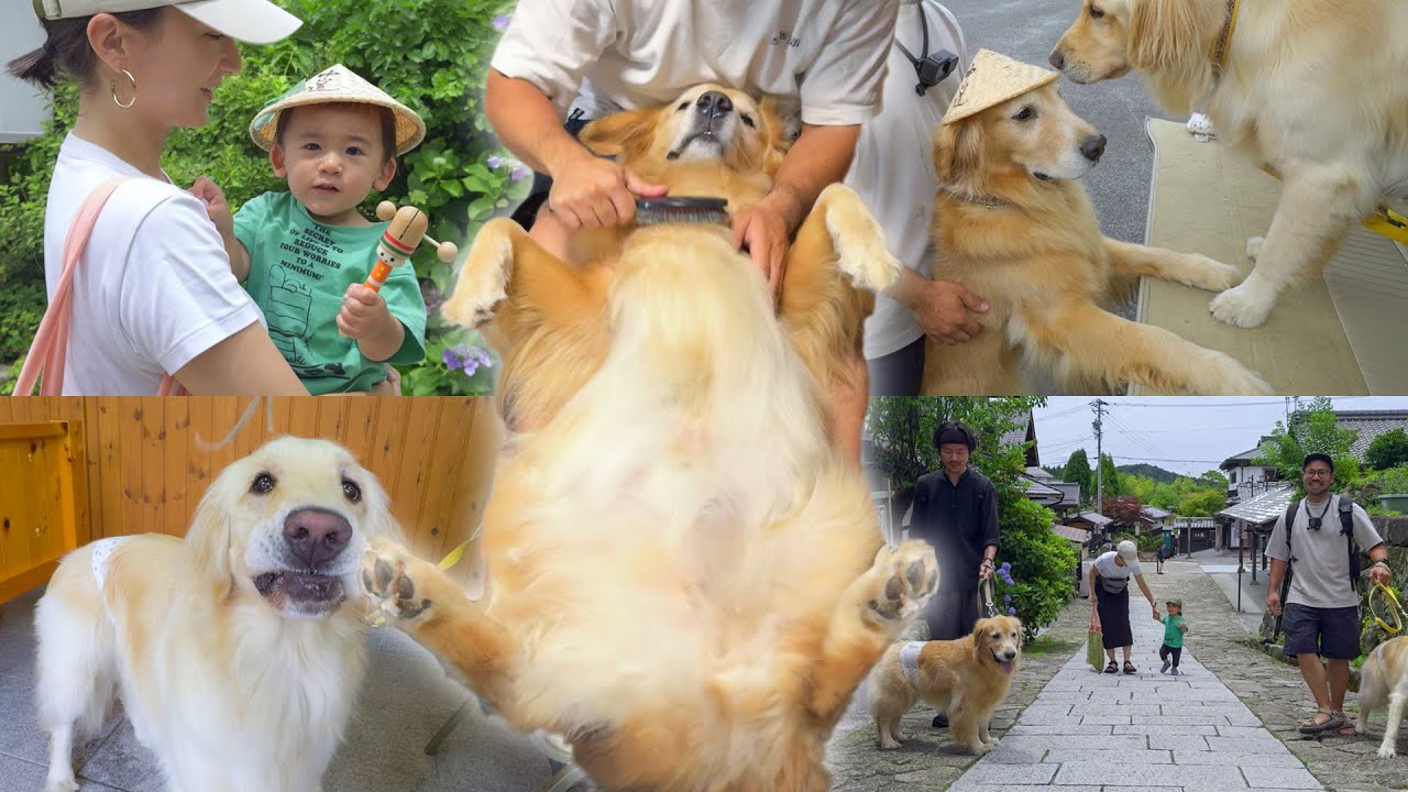 【ご満悦】久々に会う友人達とのお出かけで大満足の愛犬がこうなりましたww
