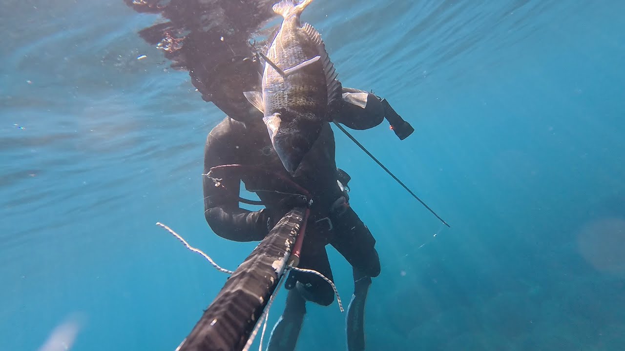 Pesca in Apnea - Due Tecniche