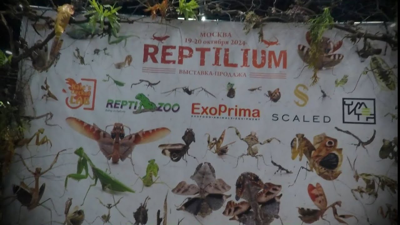 Reptilium Oct 2024