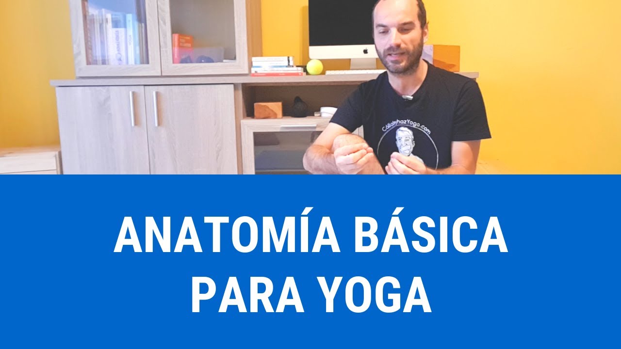 Anatomía básica del Yoga