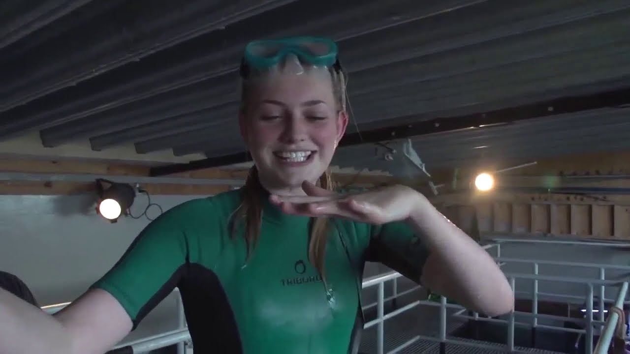 Dutch wetsuit shark swim challenge 1