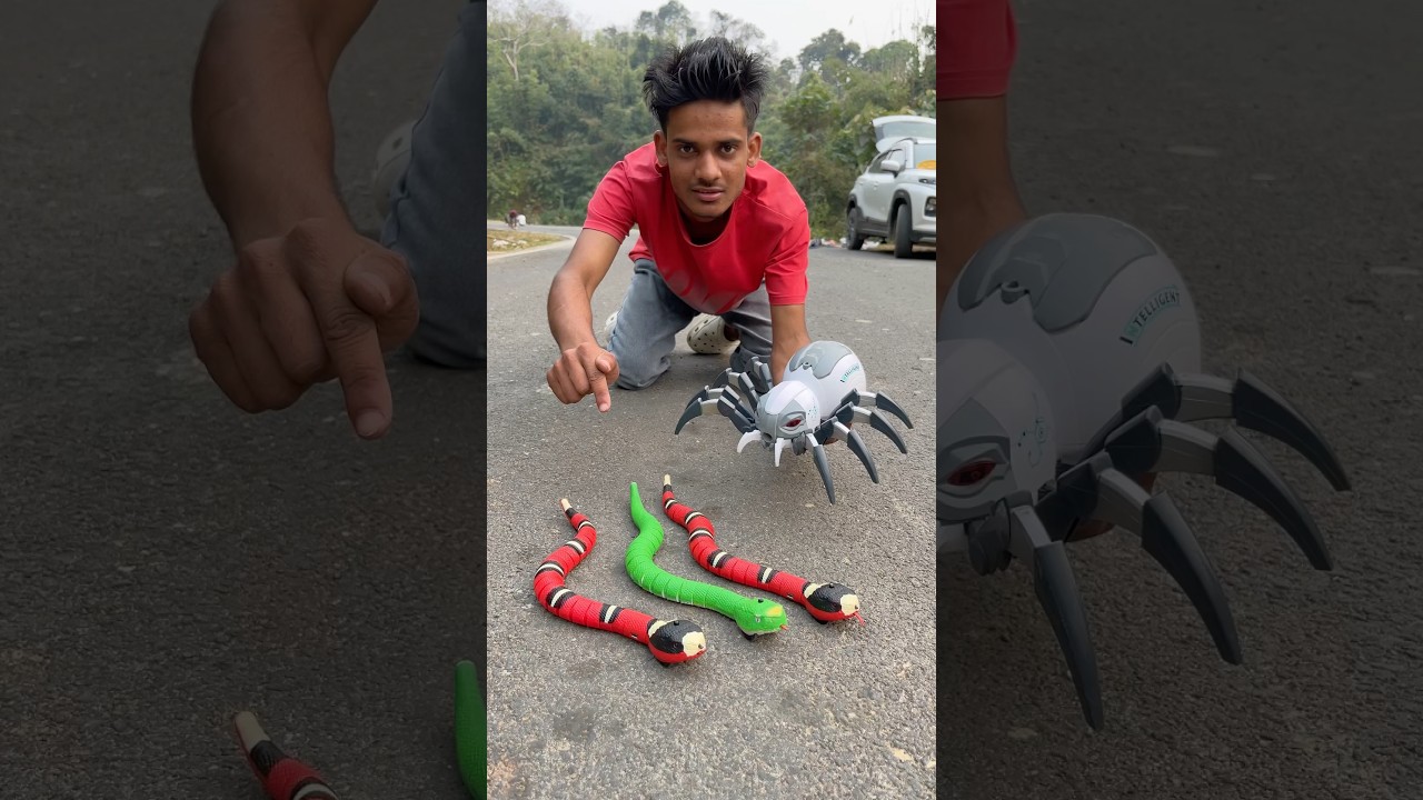 1 Ta Makhor Vs 2 Ta Rc Cobra Snake Deko 🔥