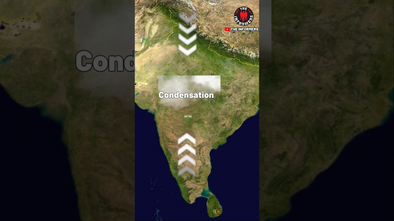 Why fog in delhi ? | THE INFORMERS |