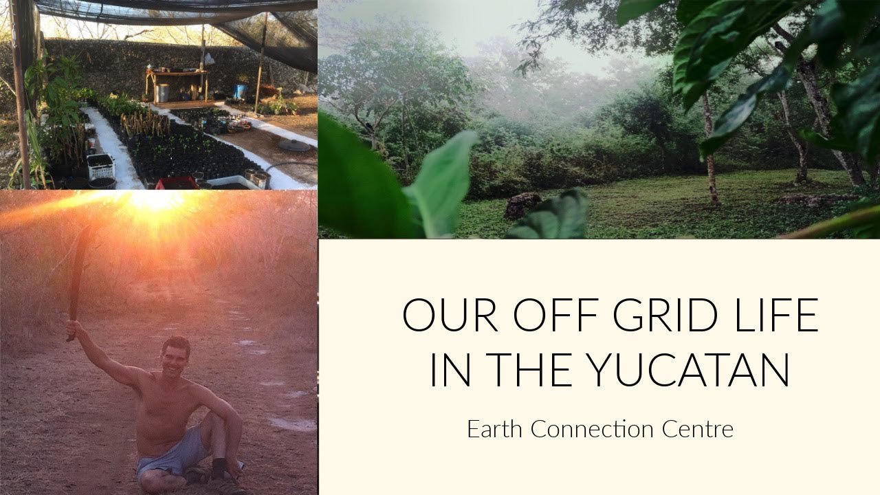 Living on an Off-Grid Biological Reserve in the Yucatan Jungle