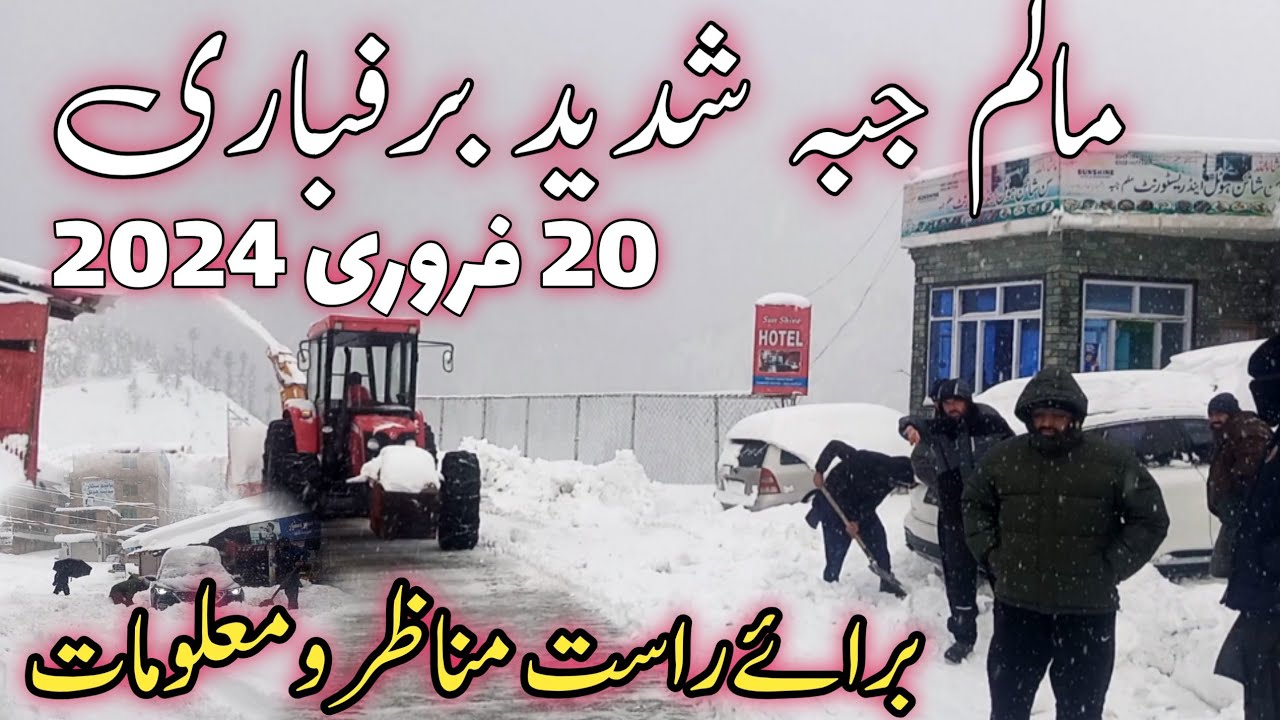 malam jabba swat kalam snowfall update | heavy snowfall video | #snowfall update 20 February 2024