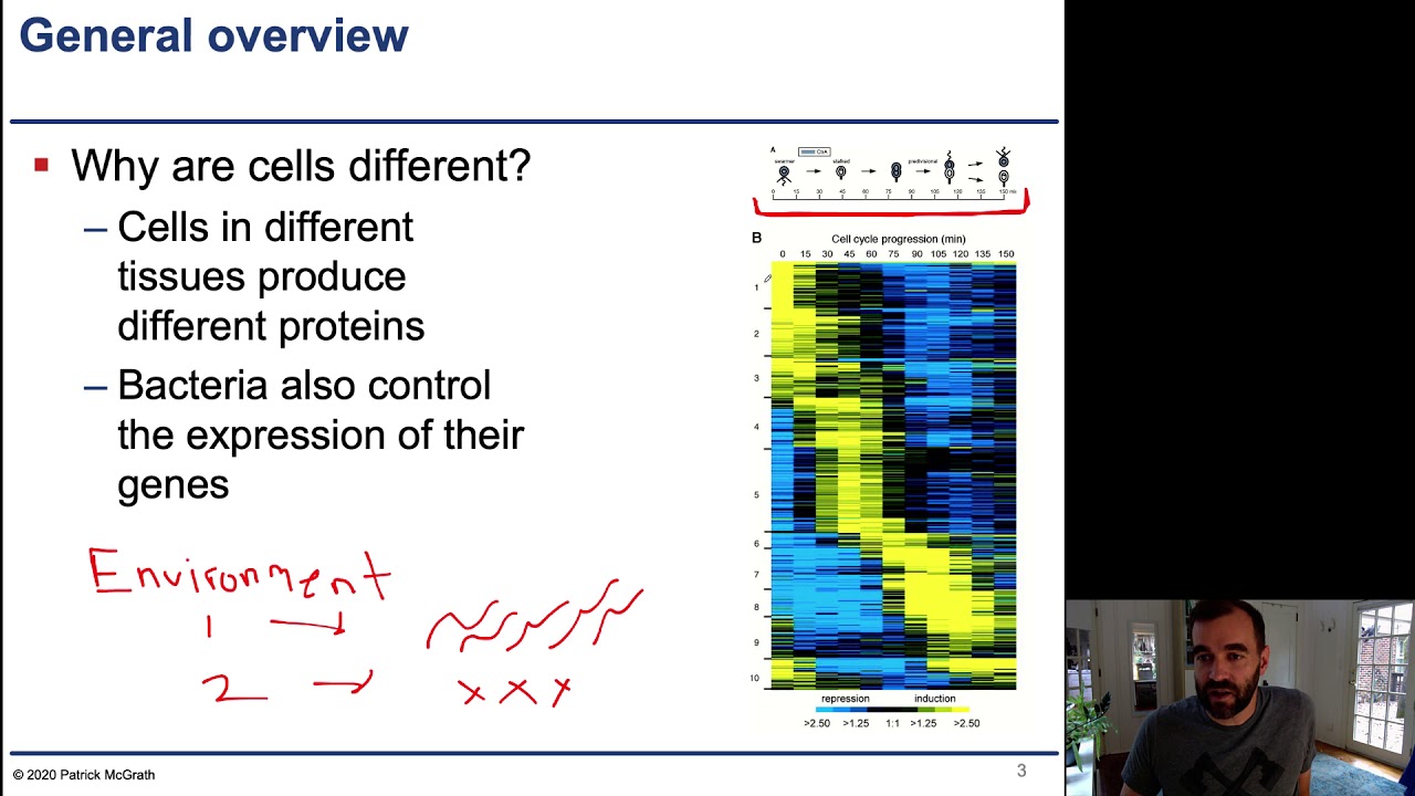 Chapter 16 - 1 - Introduction