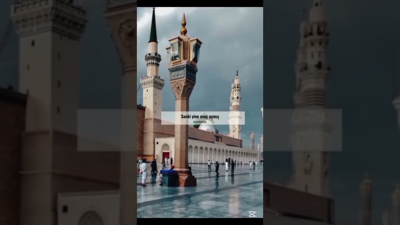 Uçun Kuşlar Medine'ye ..