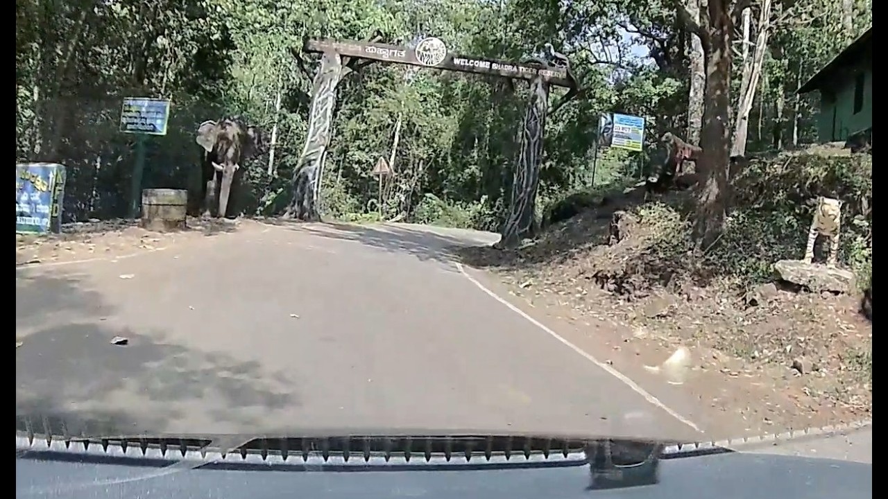 Chikmangalor series - Drive to Bhadra tiger reserve and Ayyanakere lake