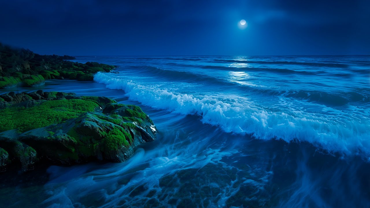 Ambient Sleep Music with Gentle Sea Waves | Let the Night Carry You