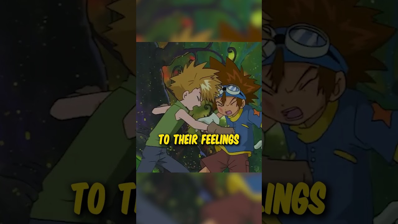 Yamato and Sora's Relationship #digimon
