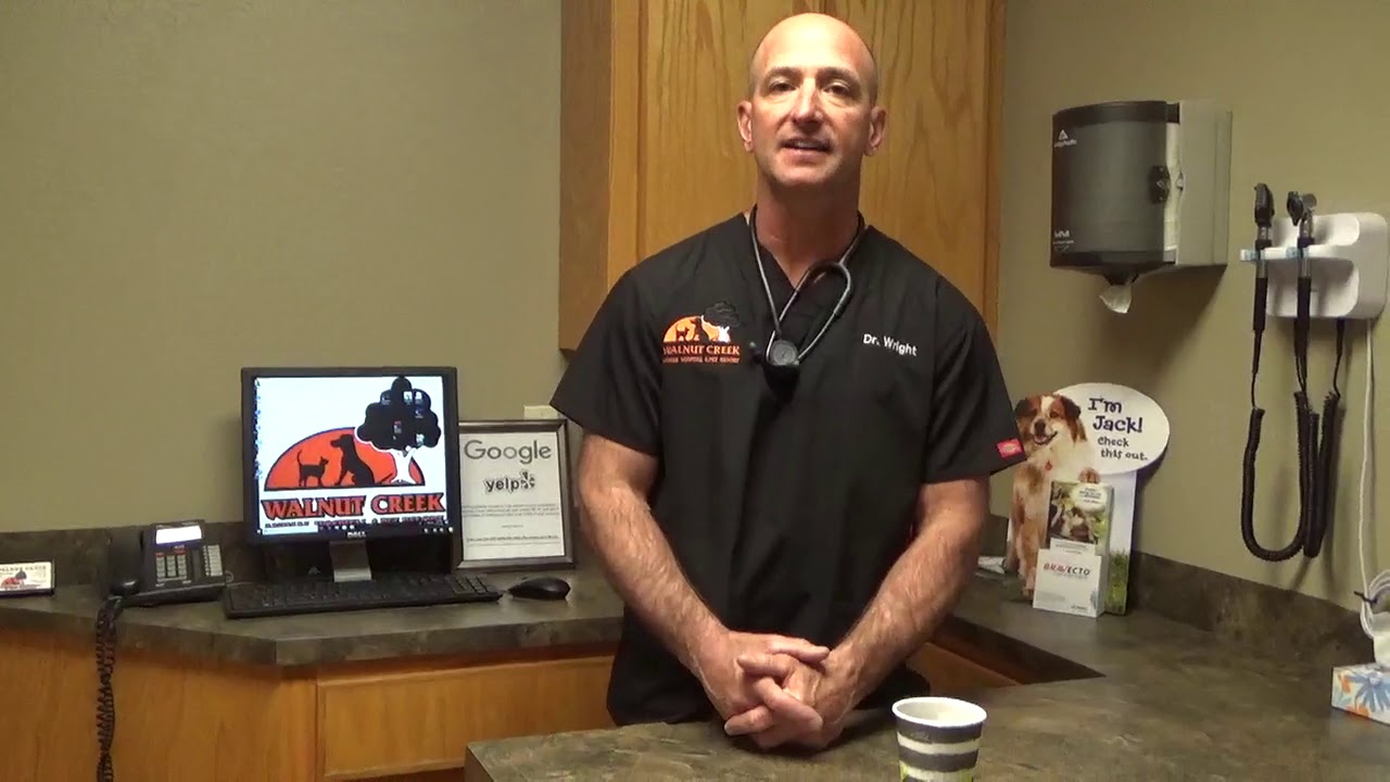 1  Intro Working Dog First Aid
