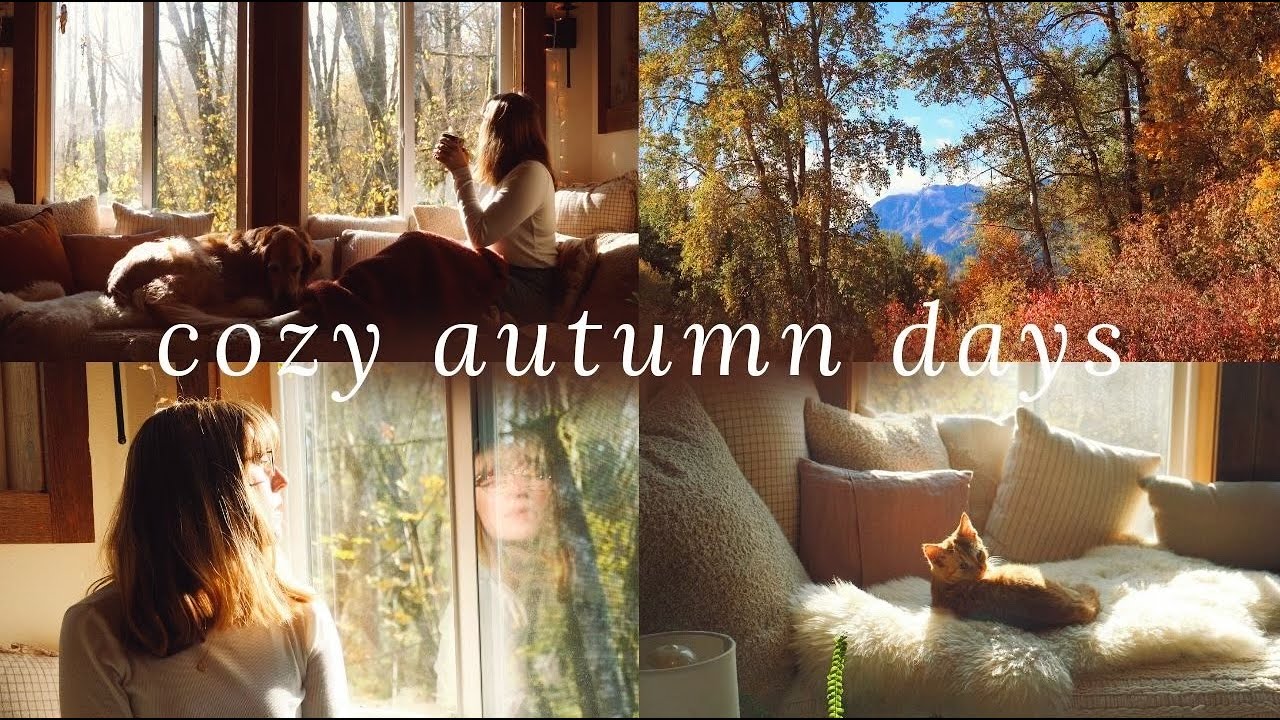 Cozy Autumn Days 🍂 autumn in the mountains & a cozy day reading & baking at home (meet my new kitty)