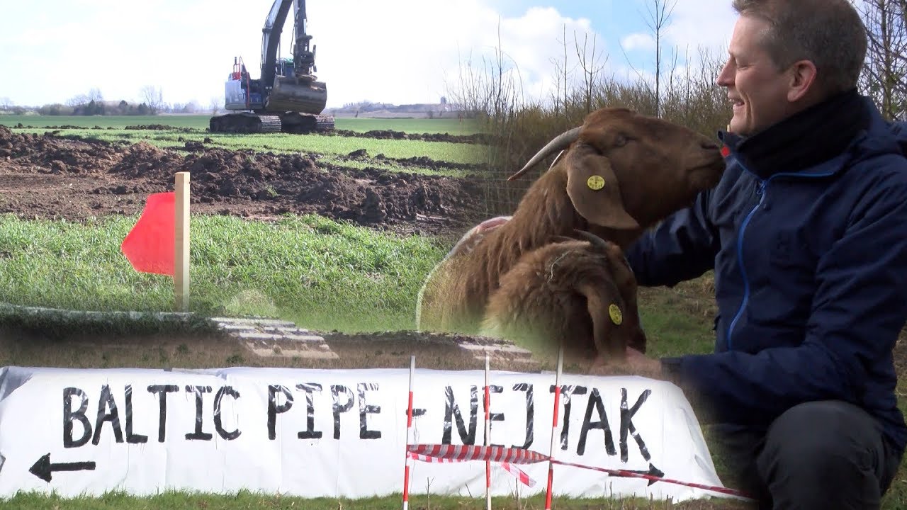Baltic Pipe. Et demokratisk og klimapolitiske svigt.