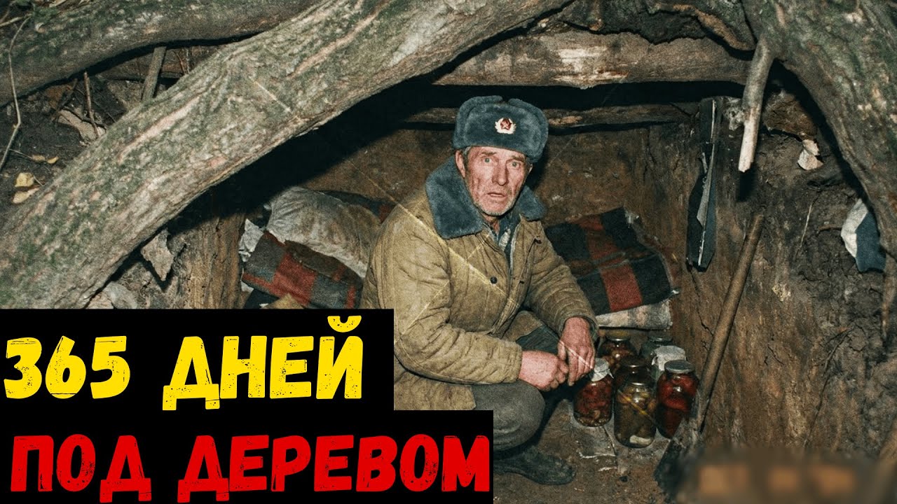 ПРЯТАЛСЯ ПОД ДЕРЕВОМ В Собственном Саду Целый Год. Чтобы Не Сесть В Тюрьму.