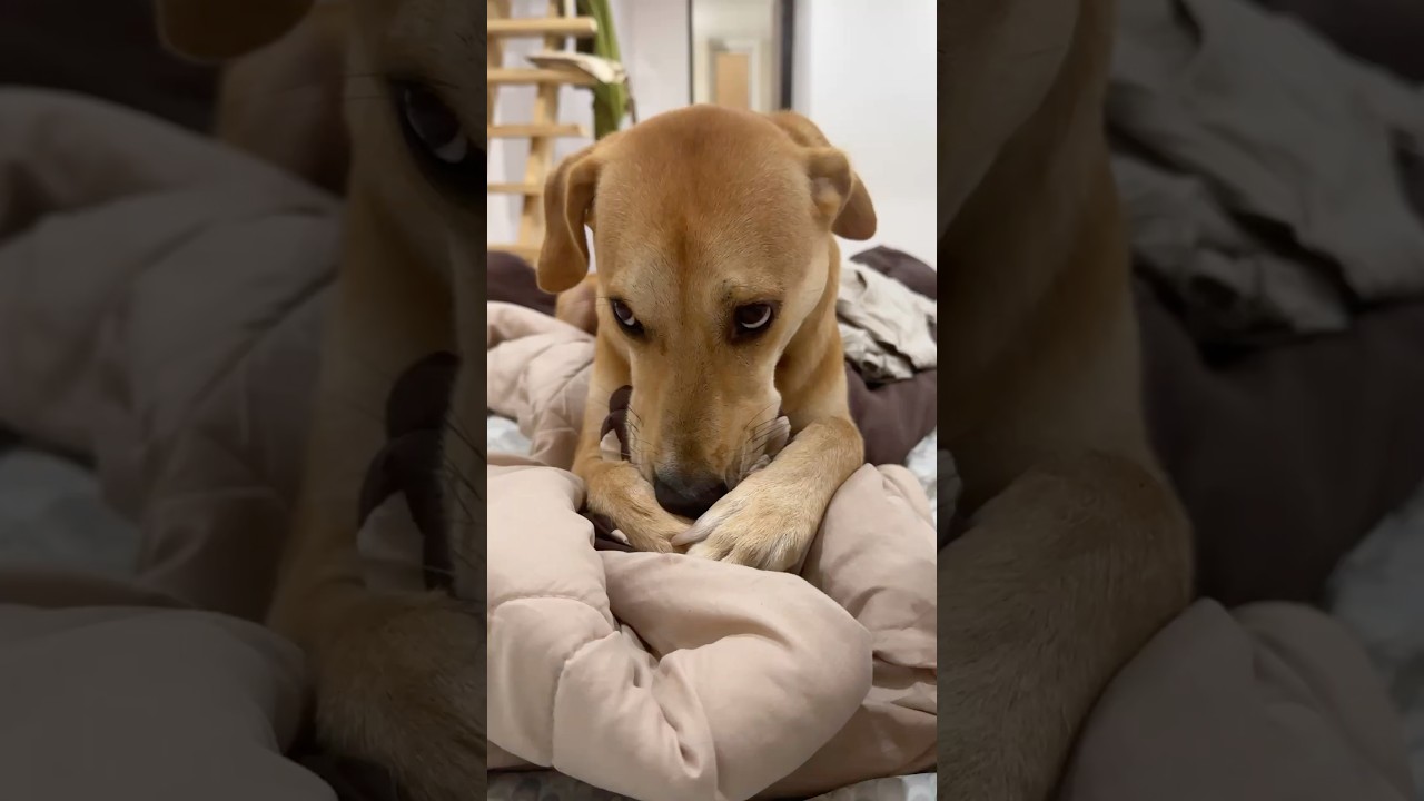 Costume designer 🧑‍🎨 