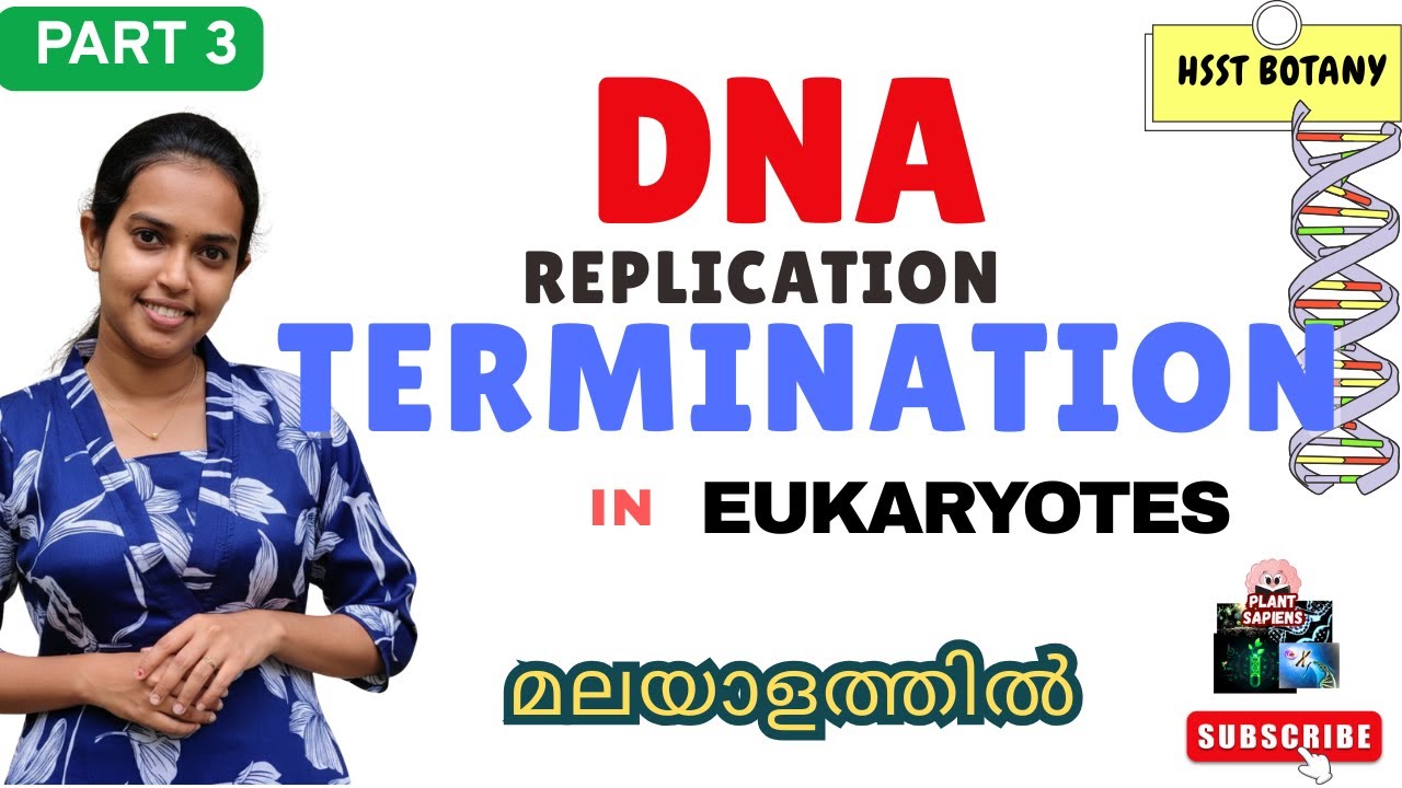 Eukaryotic DNA replication&nbsp;-&nbsp;Termination&nbsp;Explained in Malayalam |HSST Botany|#plantsapiens