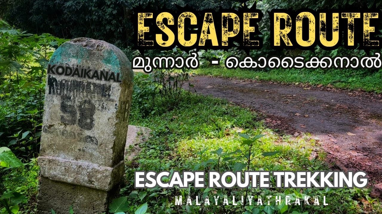 Escape Route നടന്നു പോകാം 🔥Munnar To Kodaikanal Escape Route Trekking #escaperoute #munnar #kodai