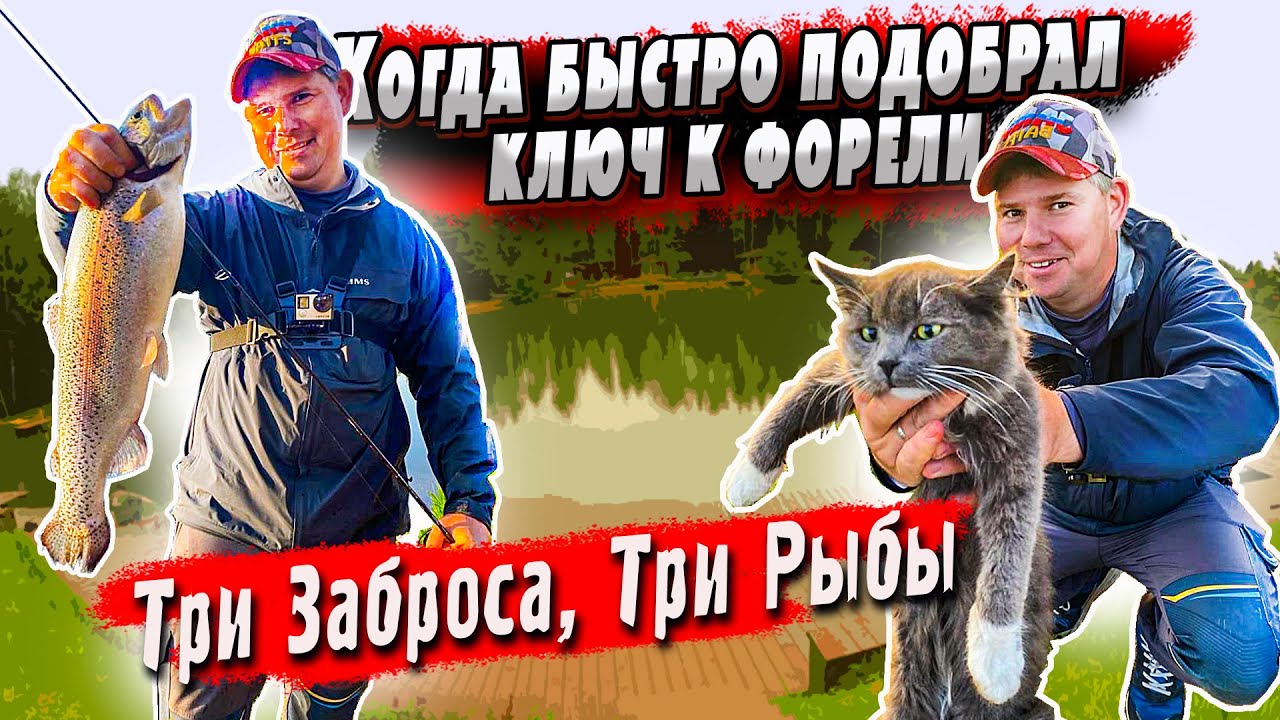 Один цвет сделал рыбалку | Форель на Платнике | Денис Вихров