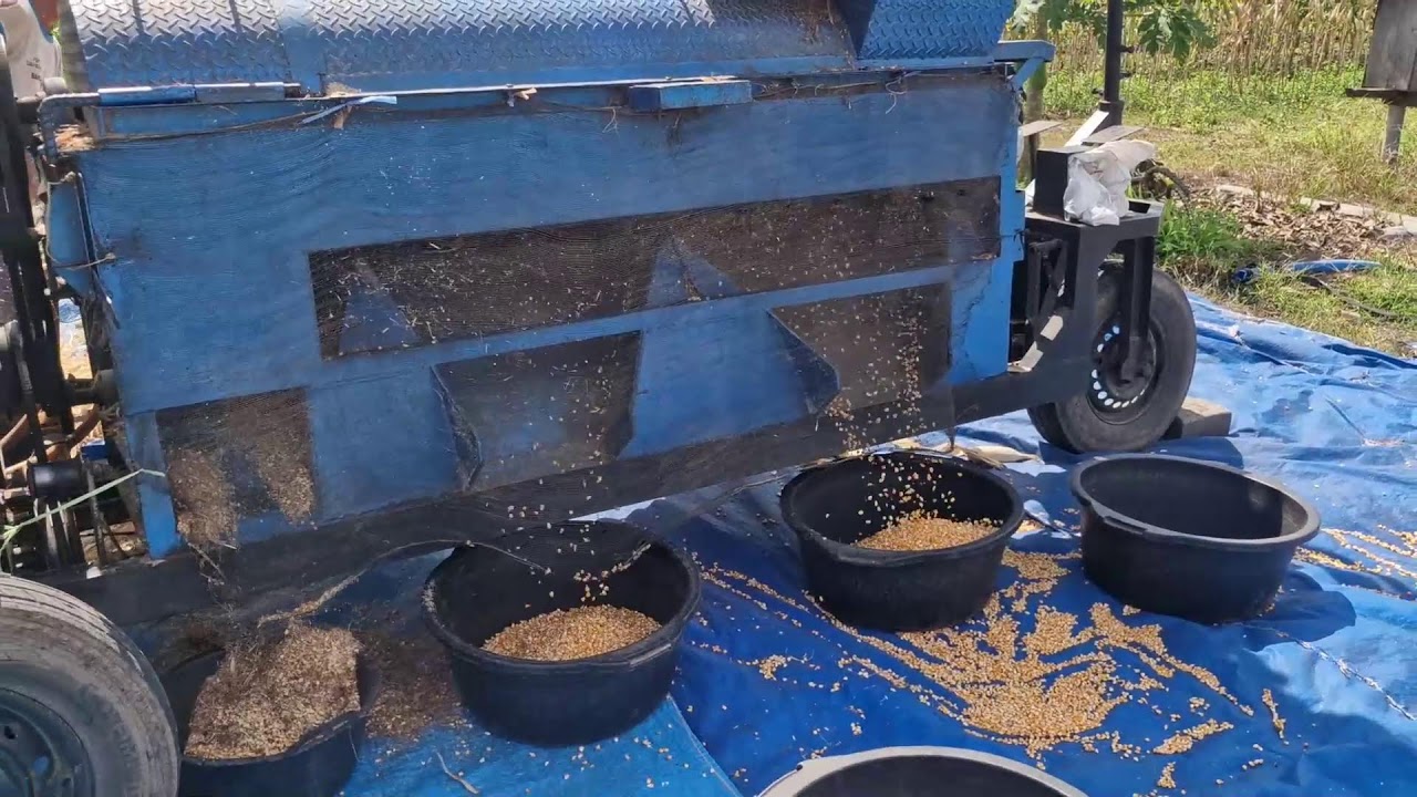 GENIUS FARMER SHELLS CORN WITH A MODERN MACHINE - MIND-BLOWING EFFICIENCY!-agriculture farming