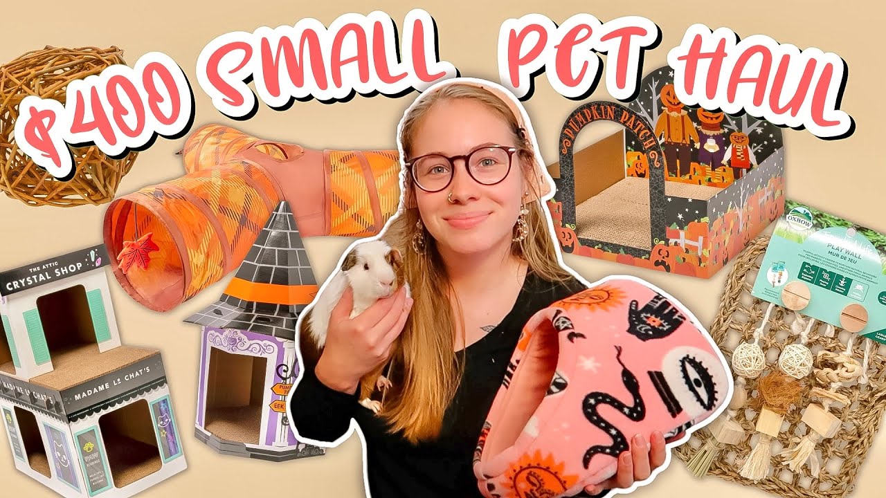 HUGE $400 GUINEA PIG & BUNNY HAUL!! 🐽🐰💕