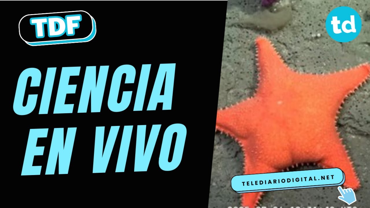 Ciencia para todos: la muestra del conicet que se vive en Mar del plata