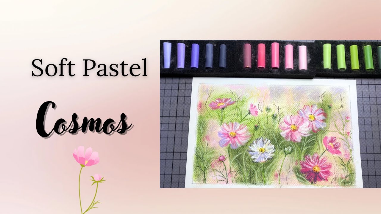Soft Pastel Drawing of Daisy Flowers (Cosmos) | Soft Pastel Flowers