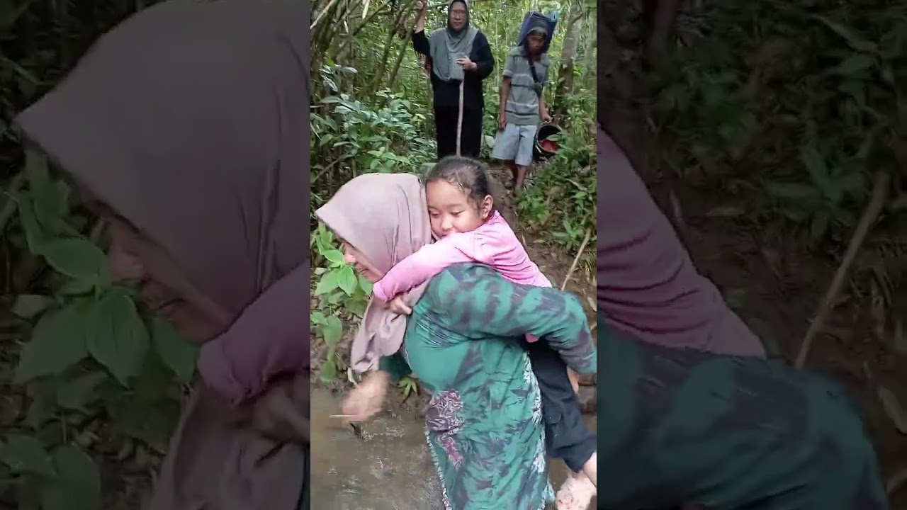 Petualang di Hutan Sungai Kapak Muara Kati Lama