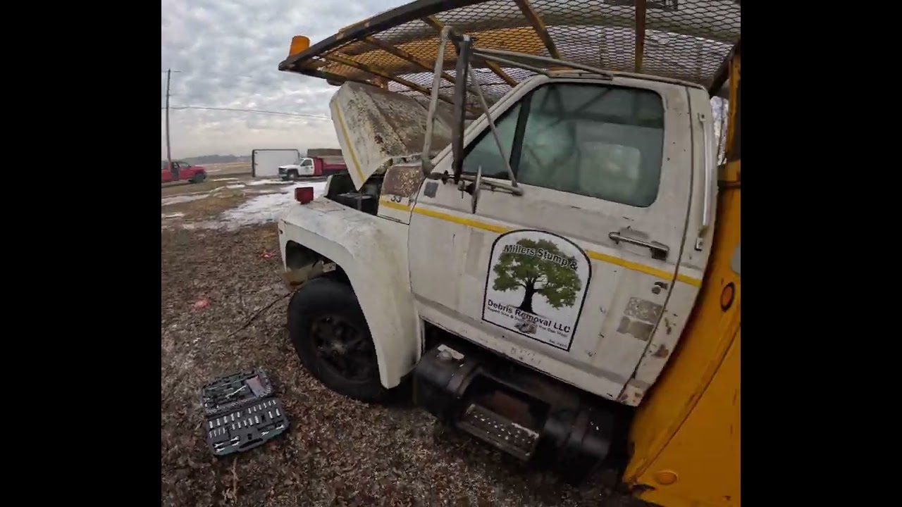 Working on our commercial Lot! Cuttings a few trees down… taking steps to get a shop up!!!