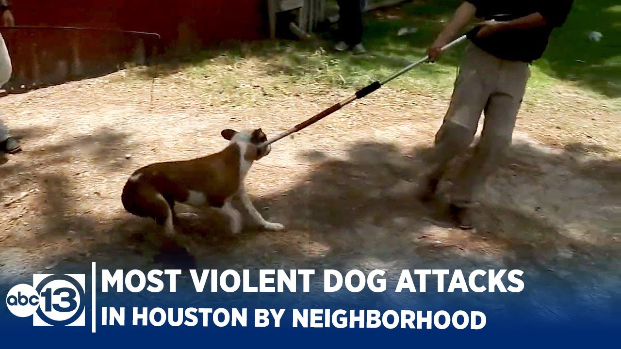 Neighborhoods with most violent dog attacks in Houston
