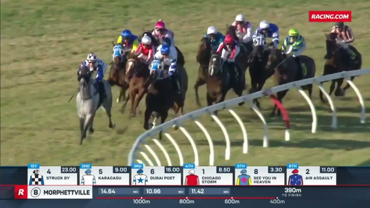 Behemoth [Spring] Stakes 2024 - SEE YOU IN HEAVEN (3YO+ WFA G3) Group 3 Morphettville 10 August