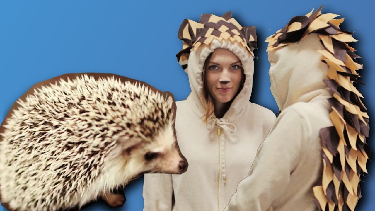 DIY HEDGEHOG COSTUME - LAST MINUTE