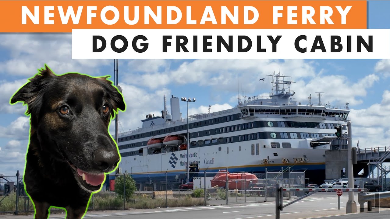 Эпизод 1. Путешествие на автодоме в Ньюфаундленд из Торонто — всё о путешествии на автодоме на па...