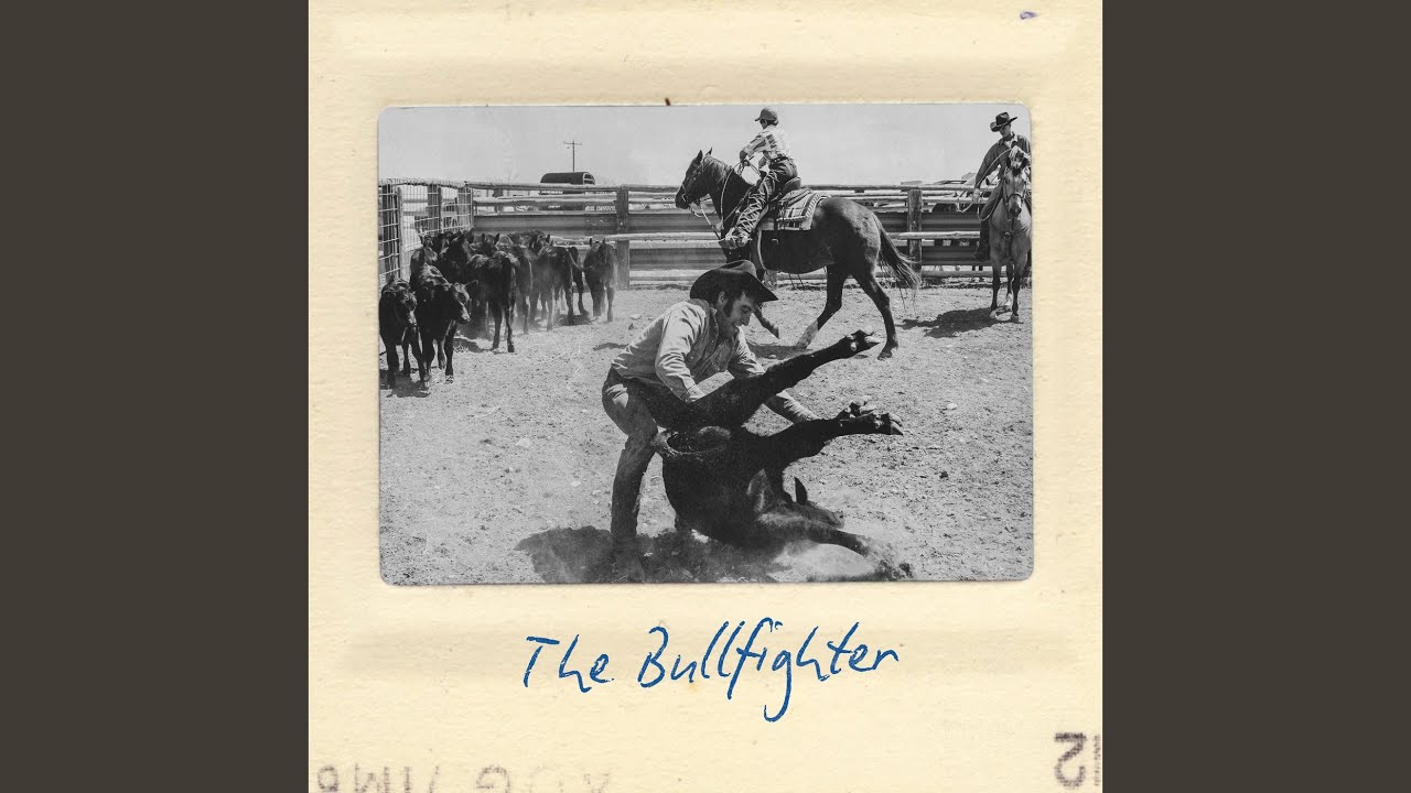 The Bullfighter