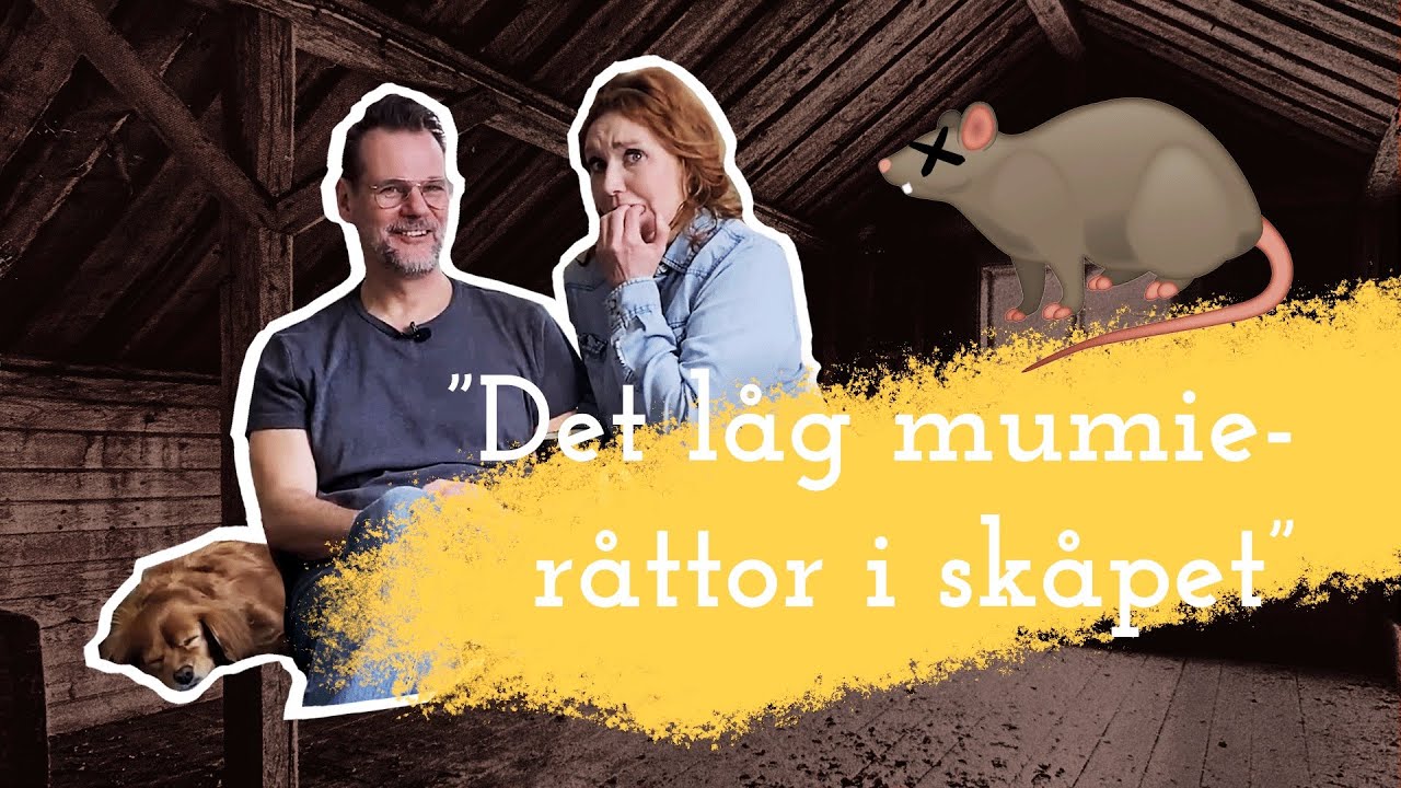 DAGBOK #2: Döda råttor och hjälpsamma grannar