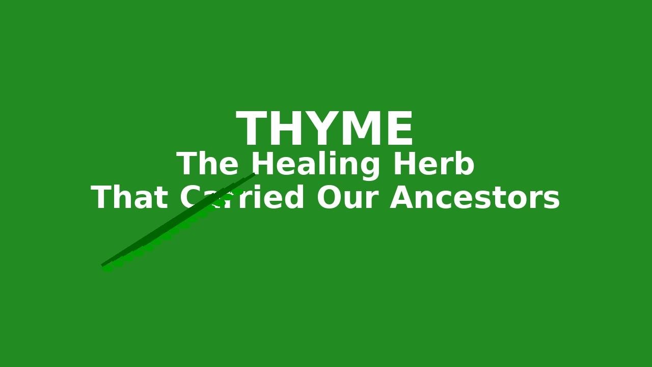 Thyme: The Healing Herb That Carried Our Ancestors