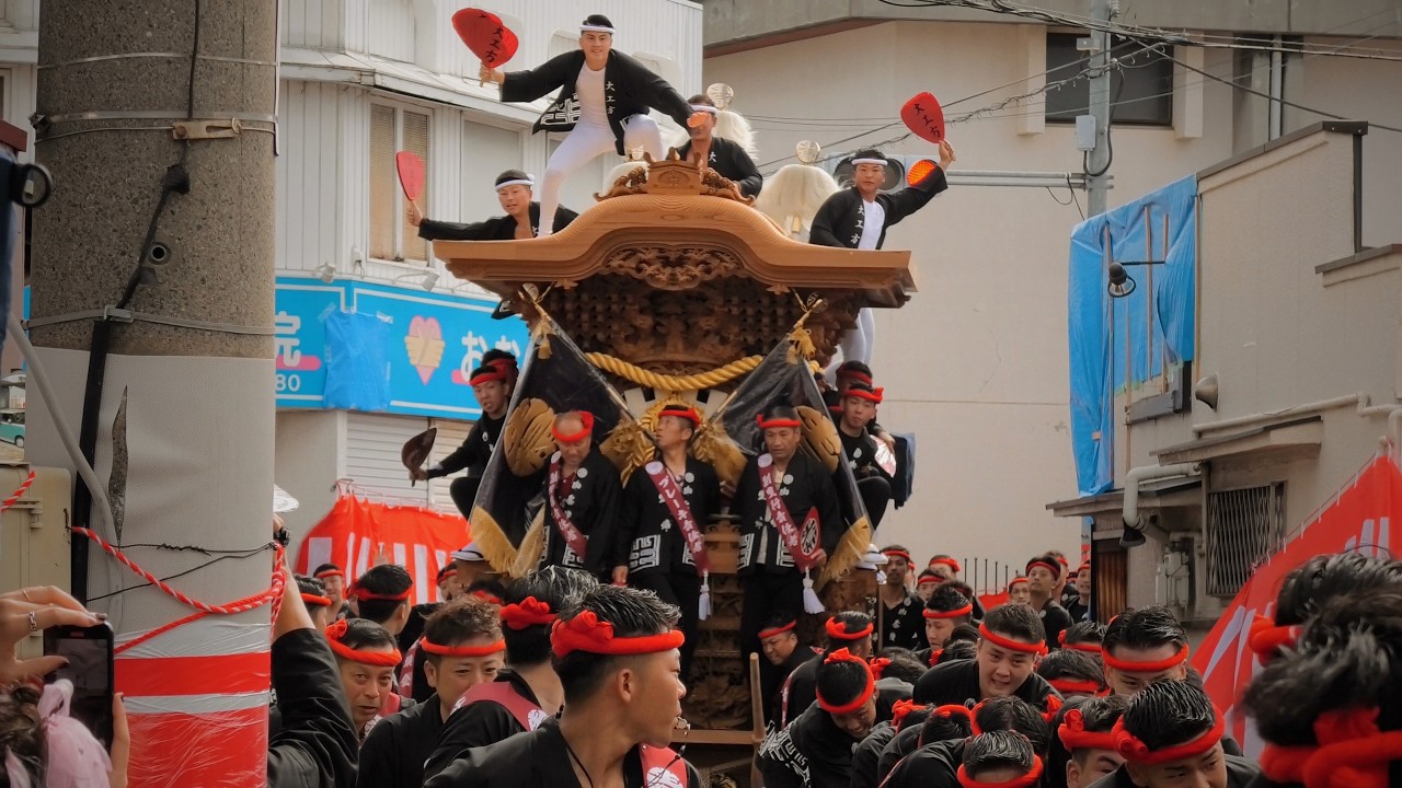 忠岡だんじり祭2025 宵宮-午前曳行 | 令和7年10月11日