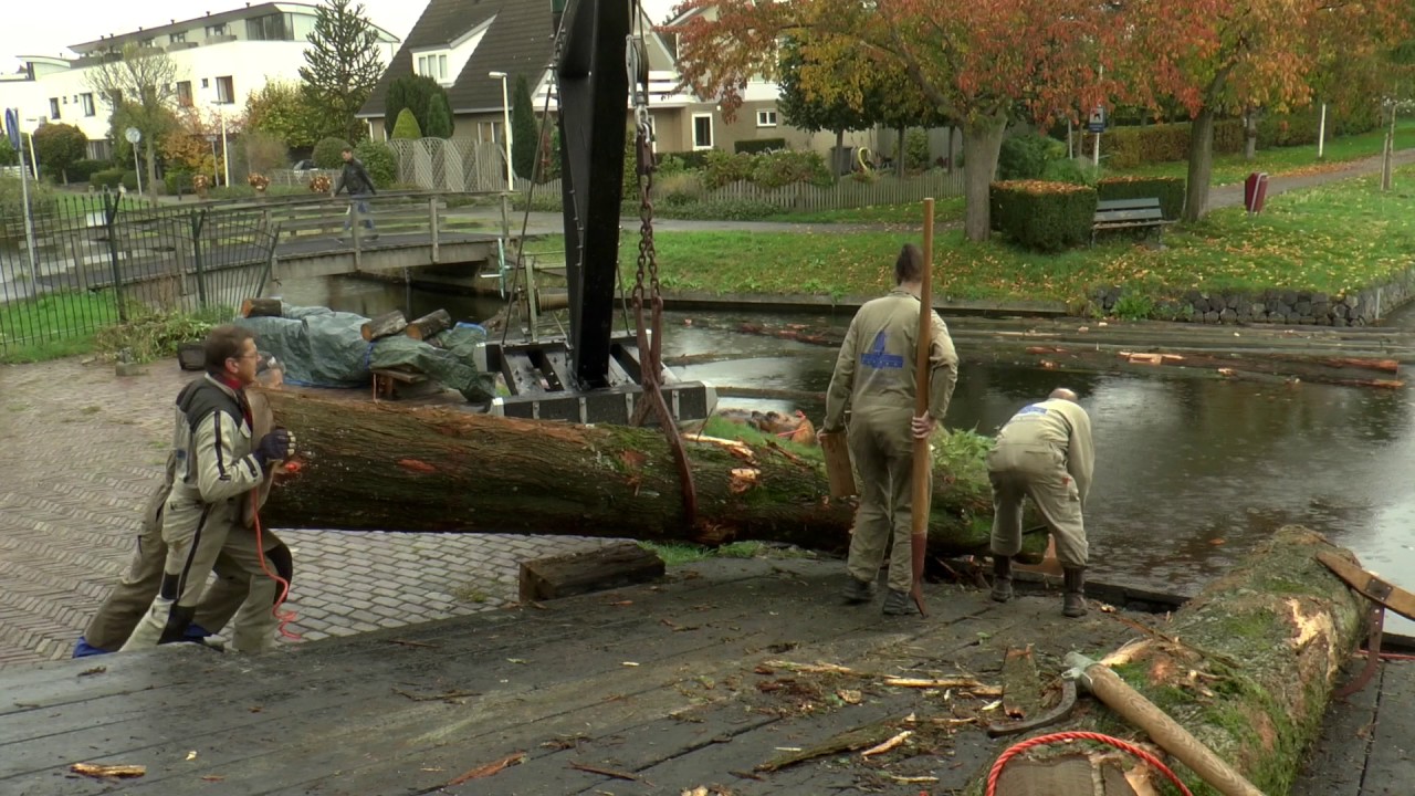 Zaagopdracht voor de Salamander