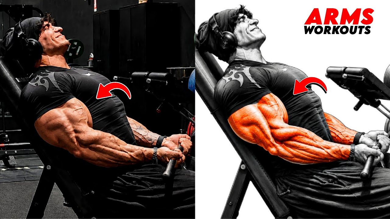 8 Proven Biceps & Triceps Exercises for Bigger, Stronger & More Defined Arms 💪