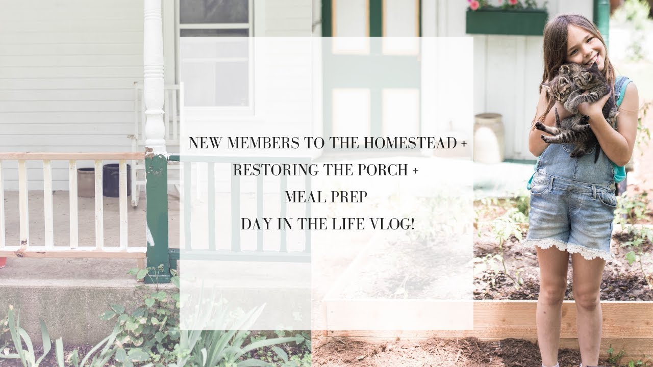 New animals on the homestead | WORKING ON THE PORCH | farmhouse restoration