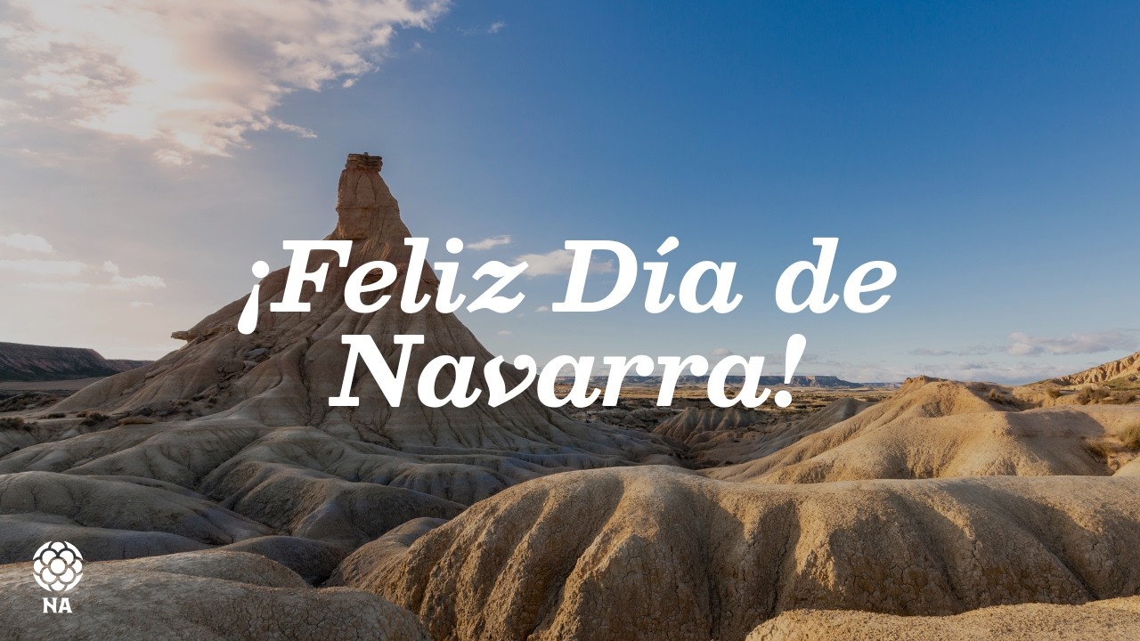 Feliz D&iacute;a de Navarra | Nafarroaren Egun zoriontsua