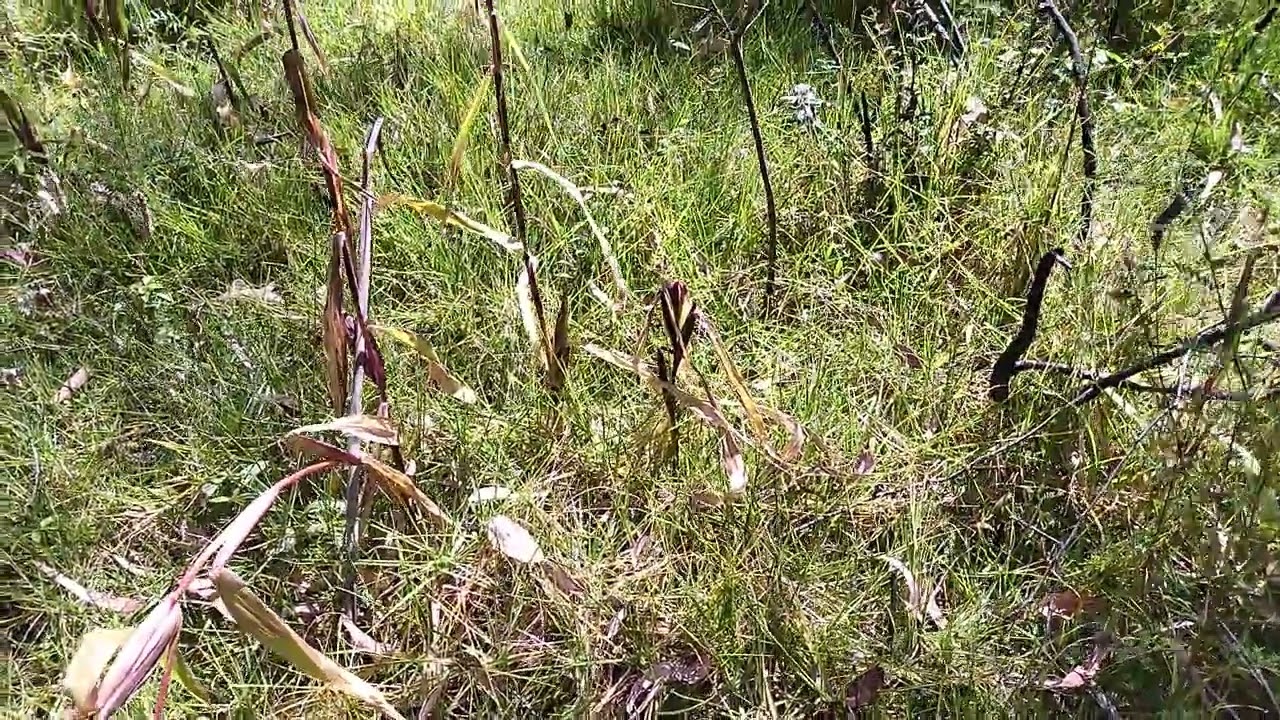 CAMINATAS Y AVENTURAS AL EXTREMO AMIGOS UN ENORME SALUDO. Y UN FUERRE ABRAZO Y SUSCRIBETE