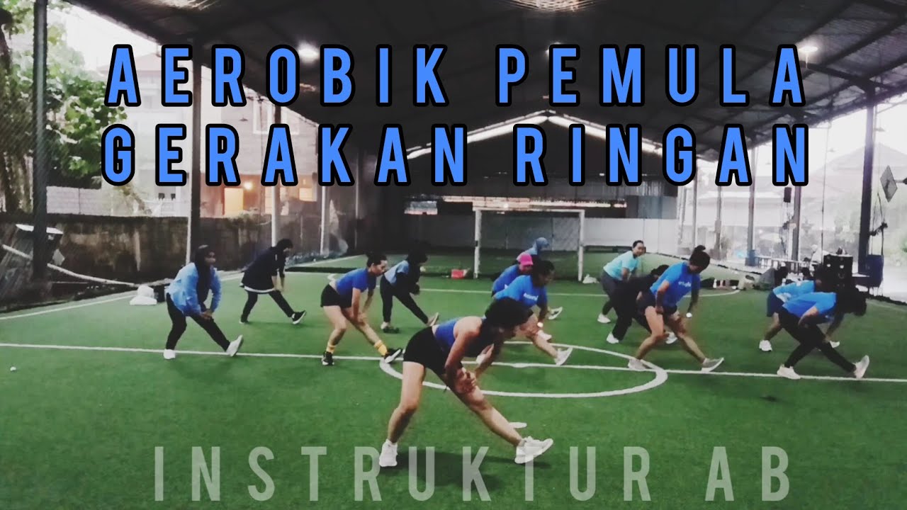 Senam Aerobik Pemula Gerakan Ringan || Musik Beat Instansi