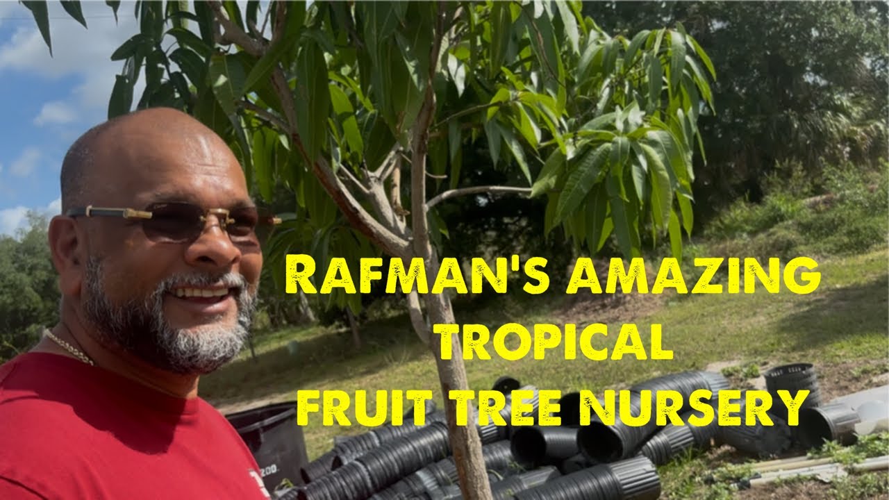 An amazing new tropical fruit tree nursery tour
