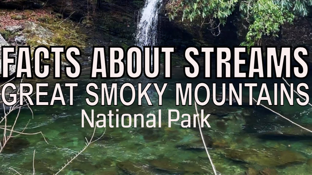 Facts about Creeks in Great Smoky Mountains National Park