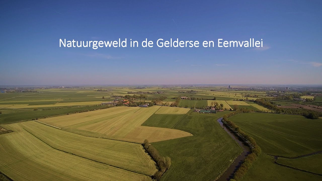Natuurgeweld in het midden van Nederland